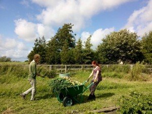 Let's talk about farmer wellbeing