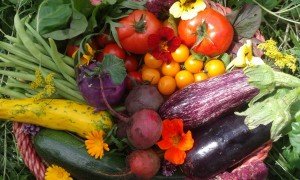 Lancaster's FarmStart organic growers support course